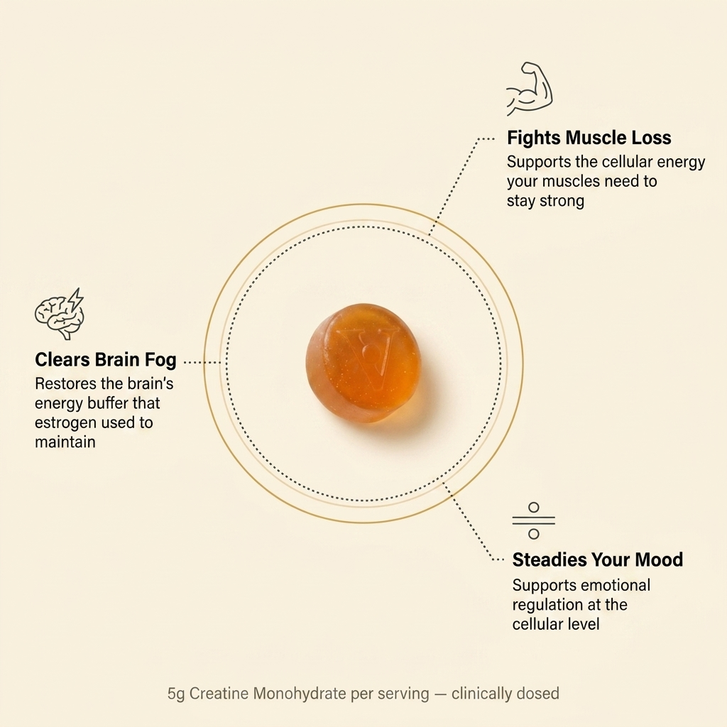 EqualizeLabs Creatine Gummies
