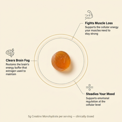EqualizeLabs Creatine Gummies